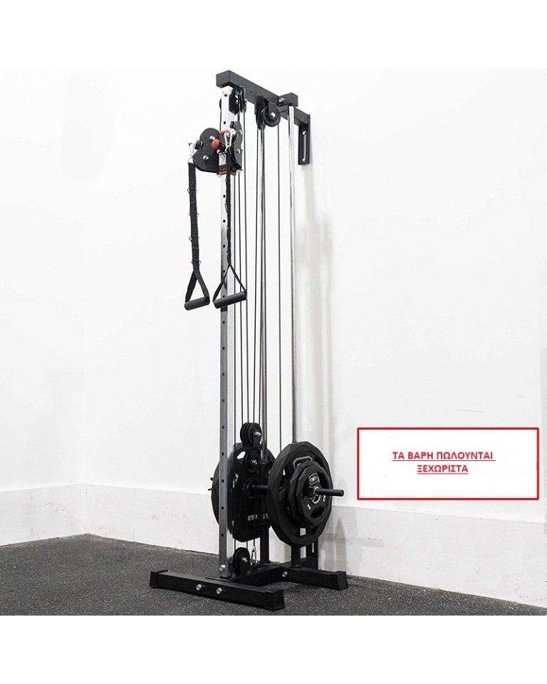 Τροχαλία Functional Trainer Viking F 1196