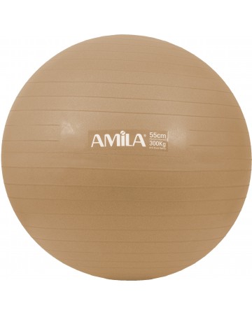 Μπάλα γυμναστικής AMILA (95829) 55cm