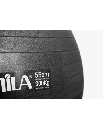 Μπάλα γυμναστικής AMILA (95826) 55cm