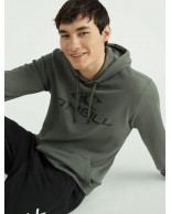 Ανδρική Μπλούζα Φούτερ O'NEILL HOODIE Χακί N2750005-16016