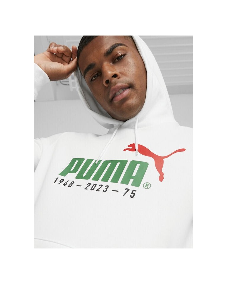 Ανδρικό Φούτερ Puma No. 1 Logo Celebration Hoodie FL 676021-02