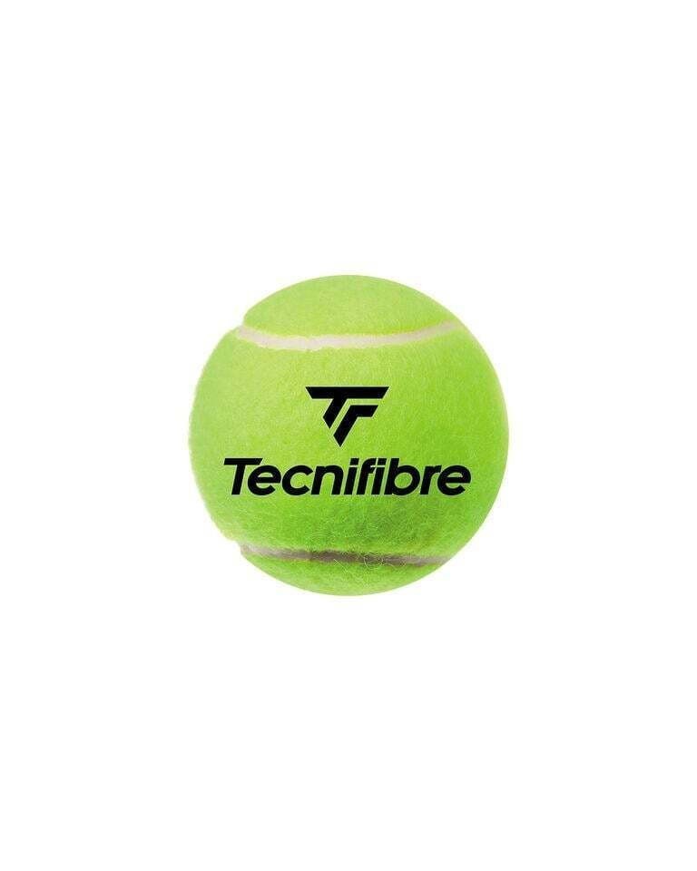 Μπαλάκια Tennis Tecnifibre TF Club Pet (4 balls)